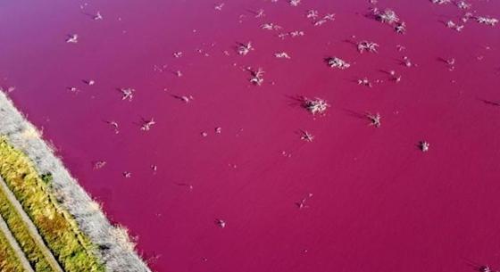 Magenta színű lett két tó Argentínában a környezetszennyezés miatt