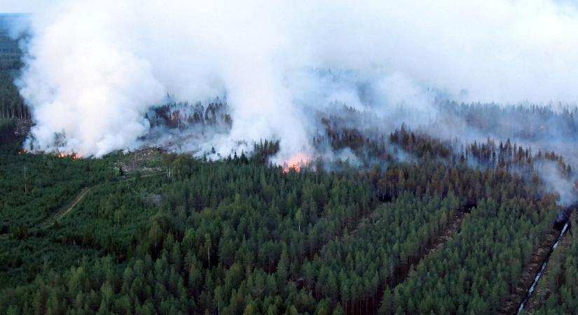 Óriási erdőtűz pusztít Finnországban - képek