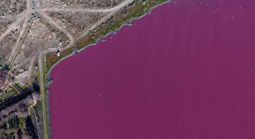 A környezetszennyezés miatt lett magenta színű két tó Argentínában