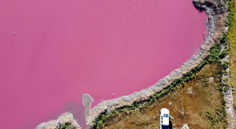 Rózsaszínűvé változott két tó Argentínában