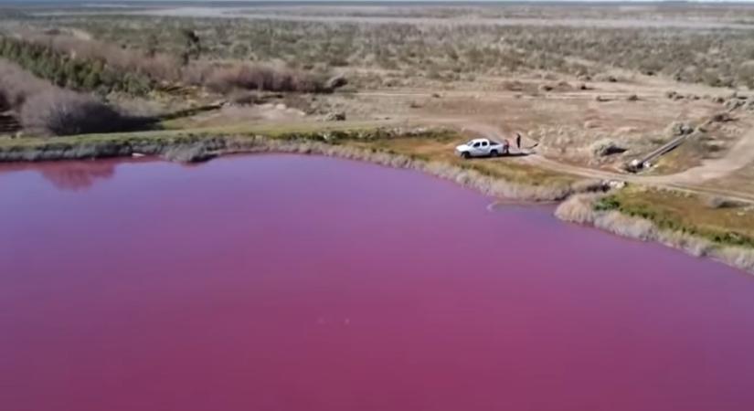 Rózsaszínre változott két tó színe Argentínában a környezetszennyezés hatására