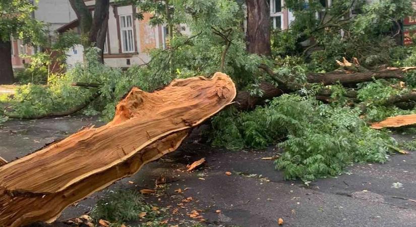 Jelentős károkat okozott a vihar Szabolcsban is