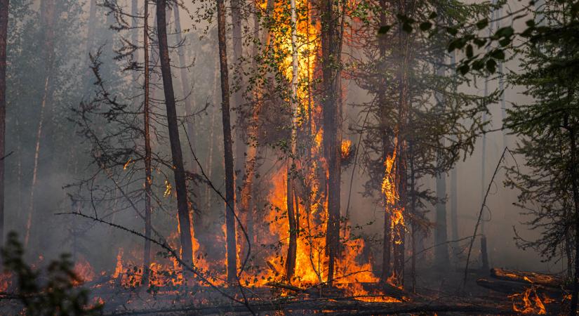 Már több mint 200 erdőtűz Oroszországban