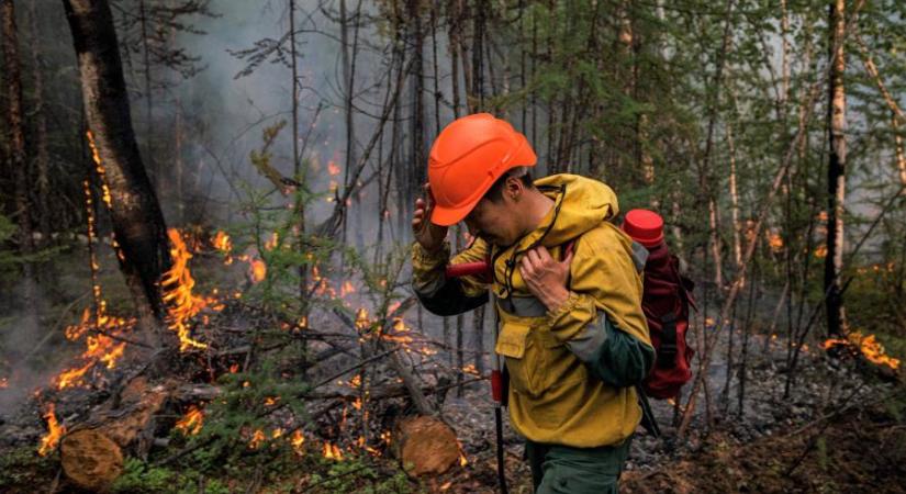 Kétszáznál több erdőtűz ég Oroszországban