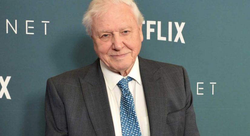 David Attenborough piszkosul jóképű pasi volt: a természetfilmes így festett a harmincas éveiben