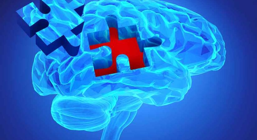 Termelődhetnek-e agysejtek felnőttkorban?