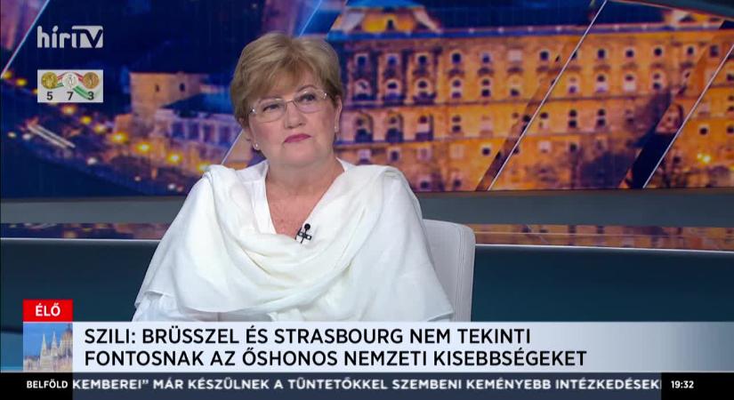 Szili Katalin: Brüsszel és strasbourg nem tekinti fontosnak az őshonos nemzeti kisebbségeket