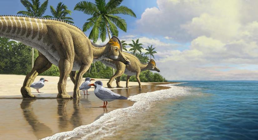 Dinoszauruszok odüsszeiája – egy rejtélyes utazás részletei