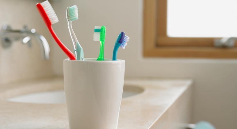 Te milyen gyakran cseréled a fogkefédet? Meglepő adatok születtek a magyarok fogápolási szokásairól