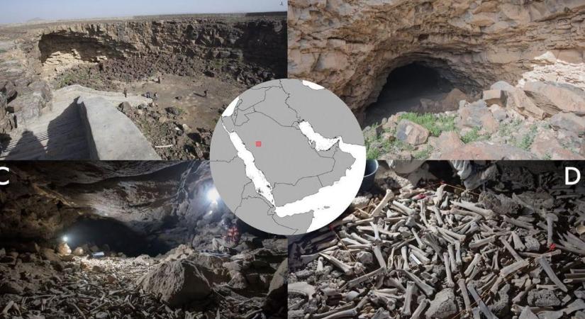 Emberi és állati csontok ezreit gyűjtötték a hiénák a lávacsőben