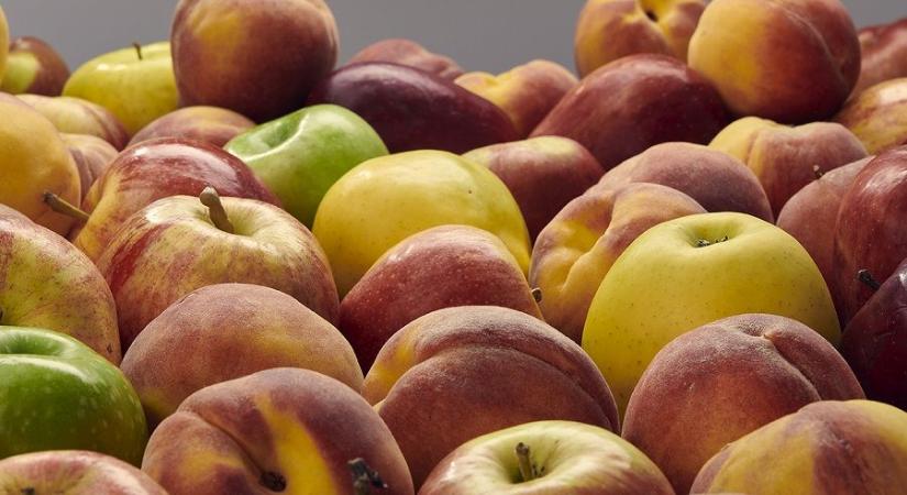 Almaecet házilag – sérült almákból