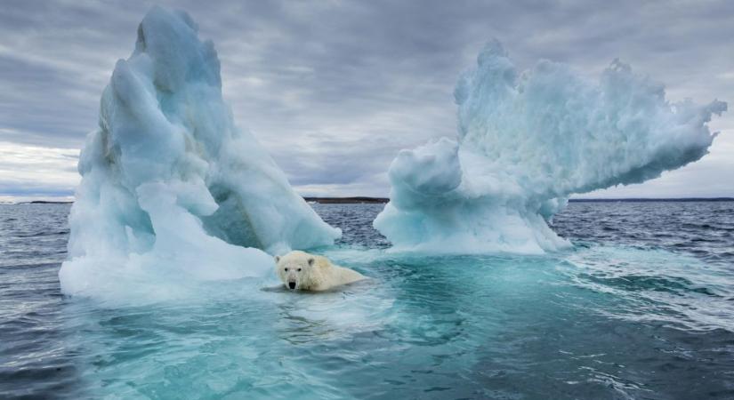 2035-re eltűnhet a jég a sarkvidékről