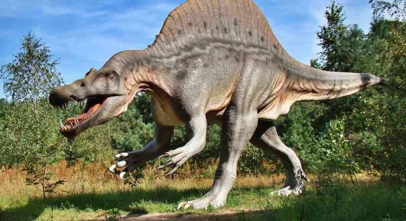 Nagyon gyorsan kifejlődtek új emlősfajok a dinoszauruszok kihalása után