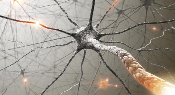 Miért ritkább a sclerosis multiplex a férfiaknál?