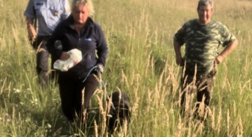 Elszalad kutyájuk után rohantak, egy másik országban találták magukat