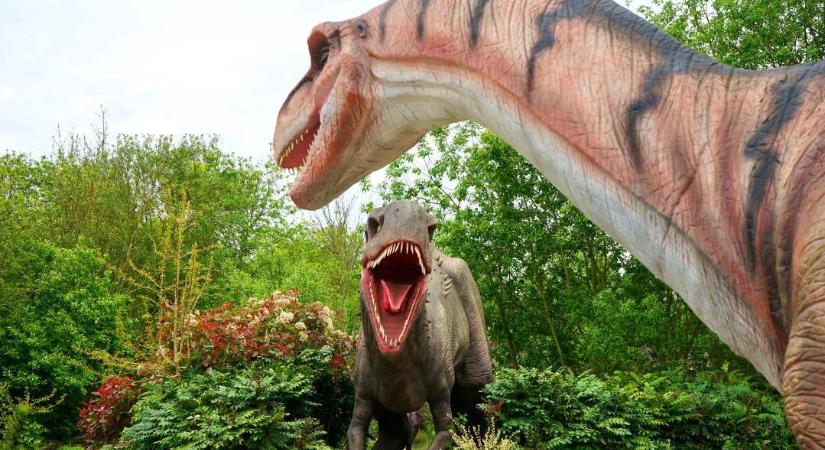Hamar jöttek új emlősfajok a dinoszauruszok kihalása után