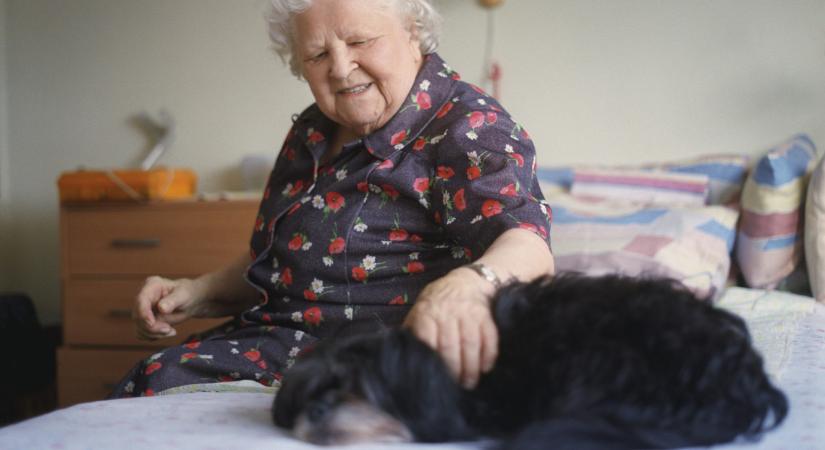 Elképesztő felfedezésre jutottak: a segítségükkel kiszűrhető a demencia