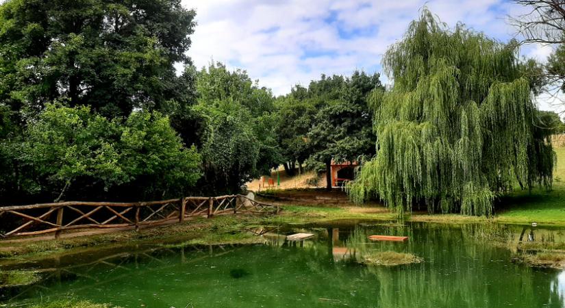 Patakokkal teli, mesebeli kis falu a Balaton-felvidéken: a gyönyörű Vászoly zöldellő völgyben fekszik