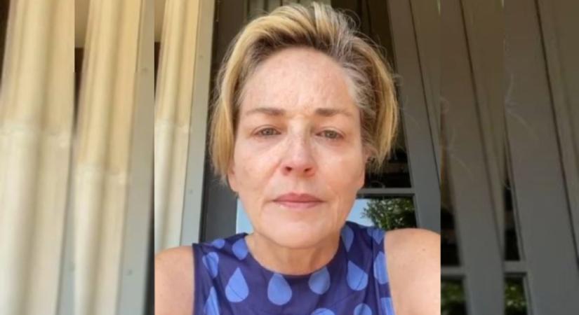 Elhunyt Sharon Stone 11 hónapos unokaöccse, Rivel William Stone – megható videóval búcsúzik a színésznő