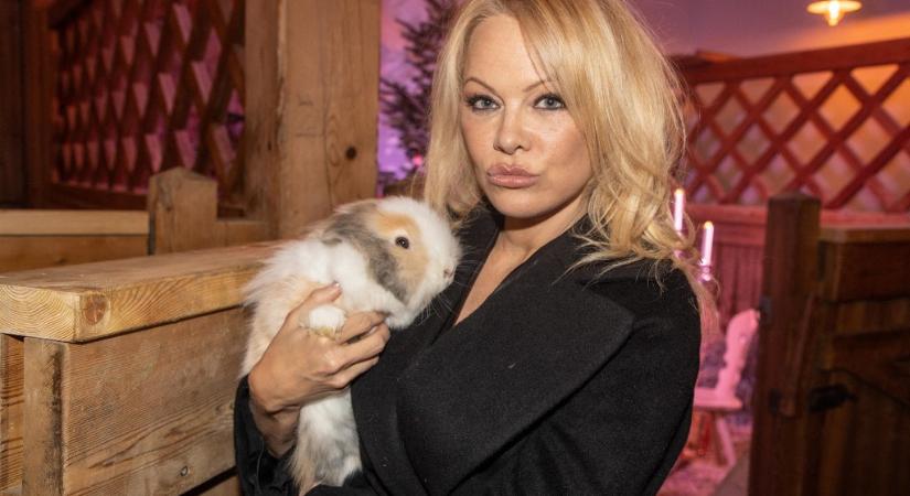 Az anyaságot fontolgatja Pamela Anderson