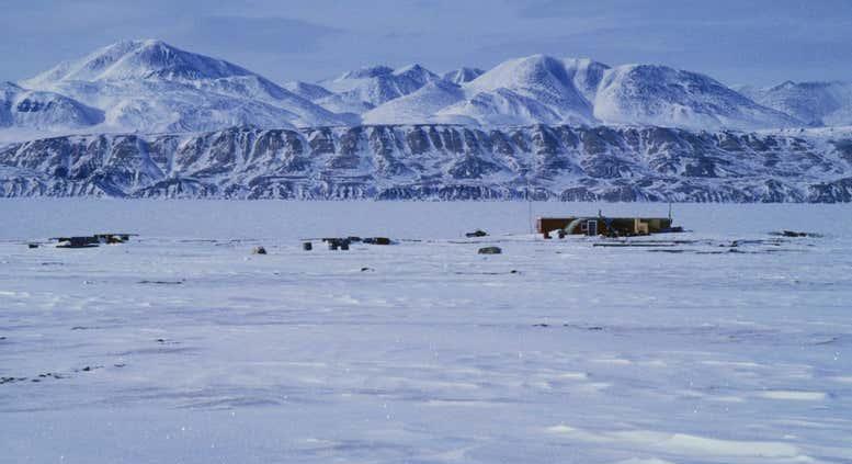 A klímaváltozás miatt a vírusok új gazdákat fertőzhetnek meg az Északi-sarkon