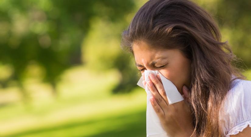 Rossz hír az allergiásoknak: a hétvégén tetőzik a parlagfű pollenszórása