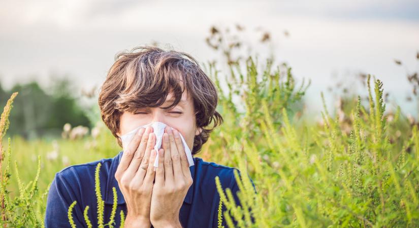 Praktikák a pollenallergia ellen