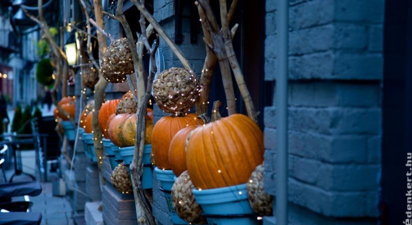 Hogyan készítsünk meseszép őszi dekorációt?