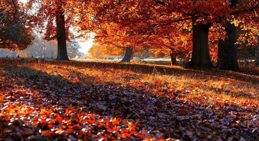 Még az ősz színeit is eltűntetheti a felmelegedés