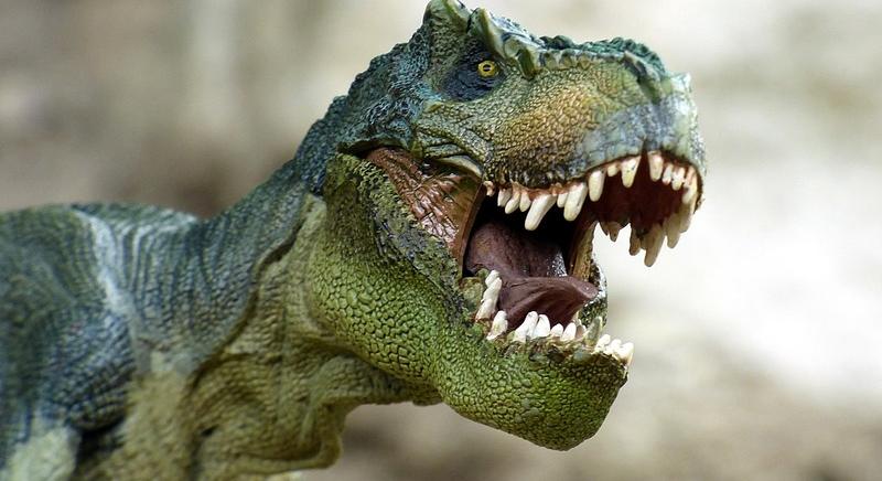 Csúcsragadozó dinoszauruszfajt fedeztek fel Üzbegisztánban