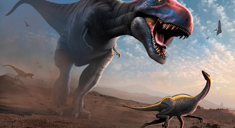 Új csúcsragadozó dinoszauruszt azonosítottak