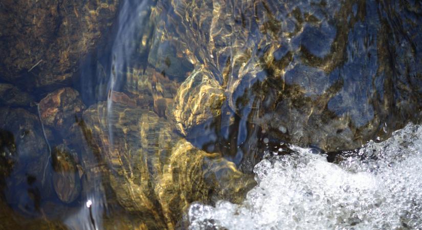 Pihenő halaknak nézték: de valami egészen mást találtak a bakonybéli patakban