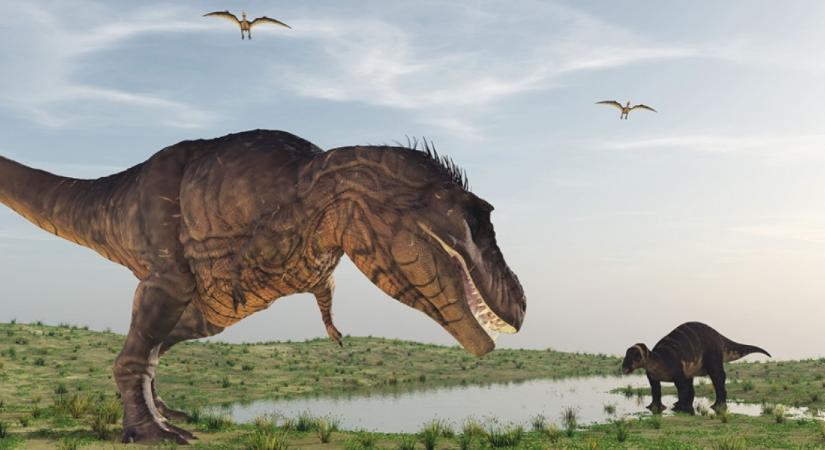 Ismeretlen dinoszauruszfajt találtak, mely a T-rex elődje lehetett - Fotó