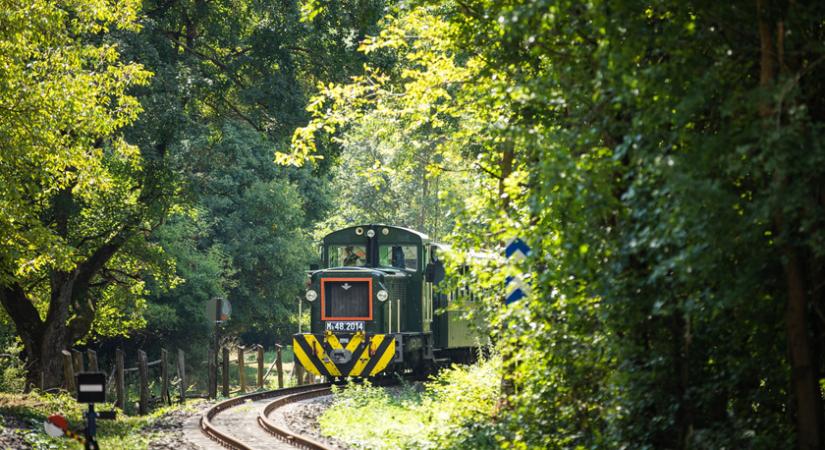 Felújították az ország egyik legrégebbi és legszebb erdei vasútját: kirándulj egy nagyot a Királyréti kisvasúttal