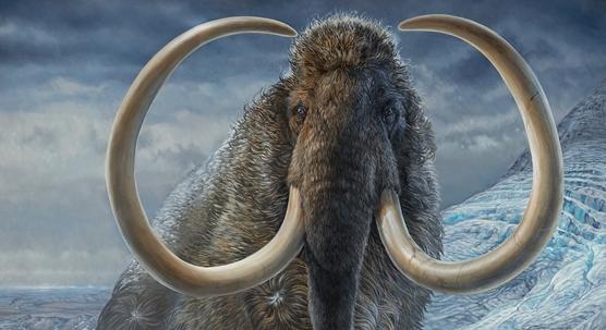 Egy biotechnológiai cég arra készül, hogy feltámassza a több ezer éve kihalt mamutokat