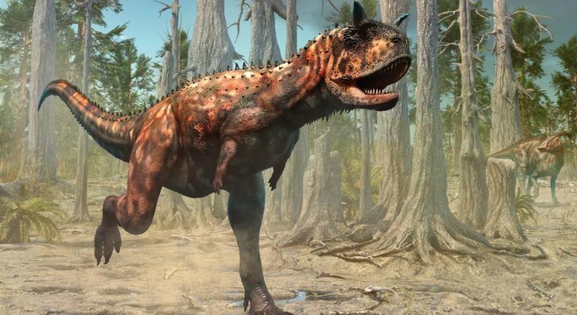 Egy dinoszaurusz megkövesedett bőrére bukkantak