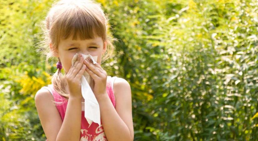 Pollenallergia gyerekeknél: negatív az allergiateszt, de tünetei vannak?