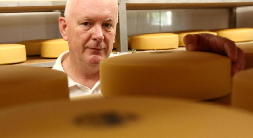 Balatoni sajtmanufaktúra hozta el az aranyérmet Párizsból