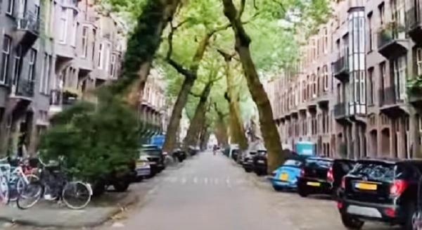 Senki nem mondta, hogy csak függőleges fákból állhat egy fasor