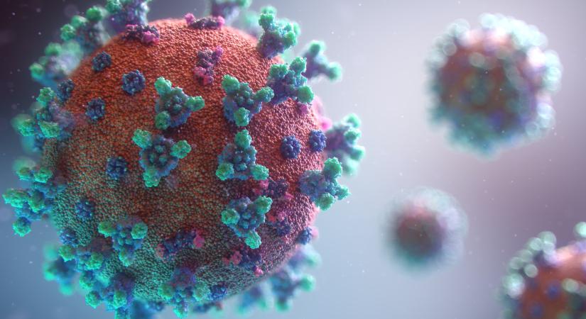 Koronavírus: az Egyesült Államok minden ötszázadik lakója meghalt