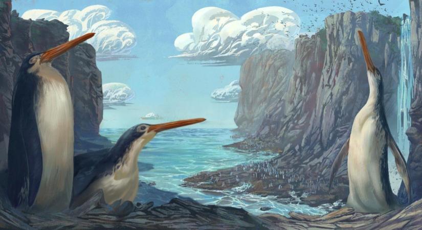 Gyerekek fedeztek fel egy kihalt óriáspingvint