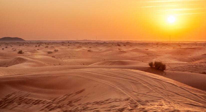 Rejtélyes faragványokra bukkantak a sivatagban - még a kutatókat is meglepte, mit ábrázoltak