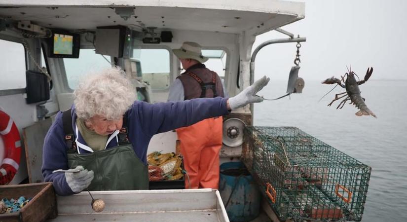 A 101 éves homárhalász még mindig keményen dolgozik