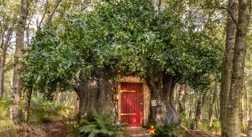 Micimackó háza is kibérelhető az Airbnb-n, kötelező benne a lustálkodás