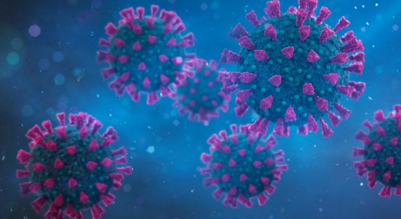 Koronavírus: 1072 az új fertőzöttet találtak a hétvégén, 13 beteg hunyt el