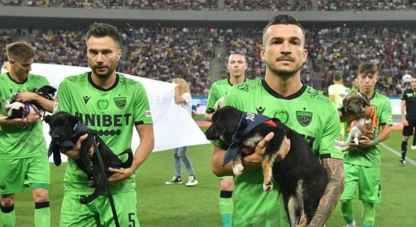 Árva kutyákkal lépnek pályára a focisták Romániában, hogy segíthessenek nekik gazdira találni