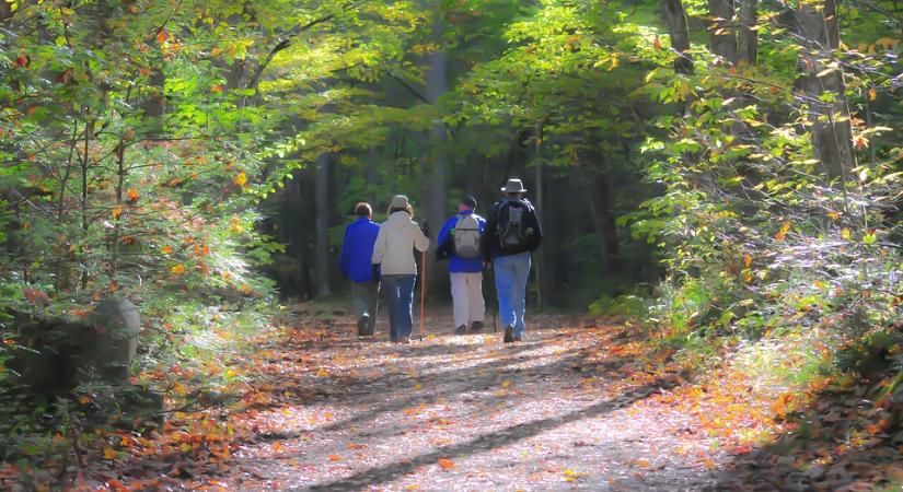 Olvasóink többsége bekuckózik, de sokan választják a túrázást ősszel