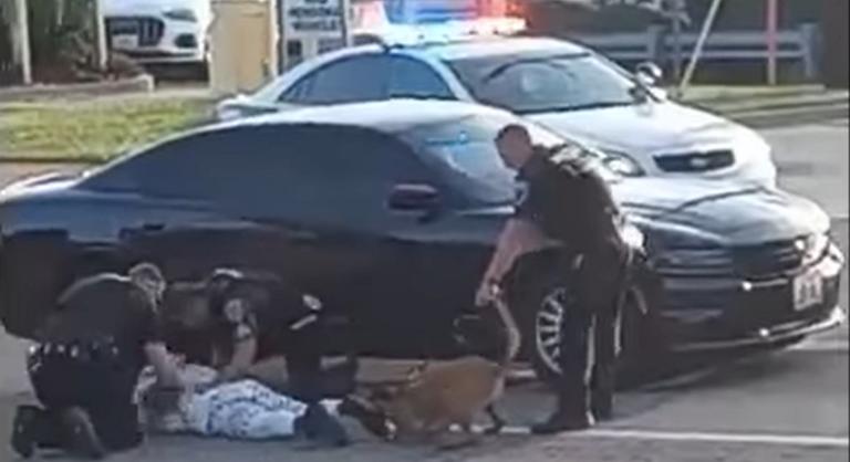 Rendőrök megölésével fenyegetőzött, kutyát uszítottak a védtelen fekete férfira