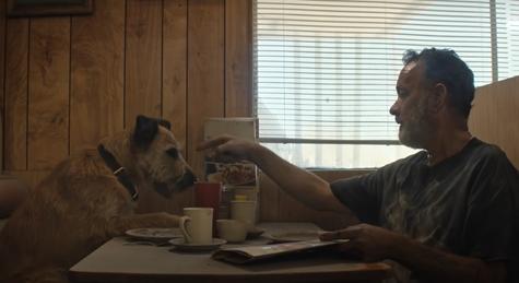 Tom Hanks egy cuki kutyával és egy robottal vészeli át az apokalipszist