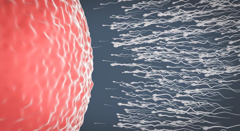 Orvosi csoda: végbeléből ömlött egy férfi spermája